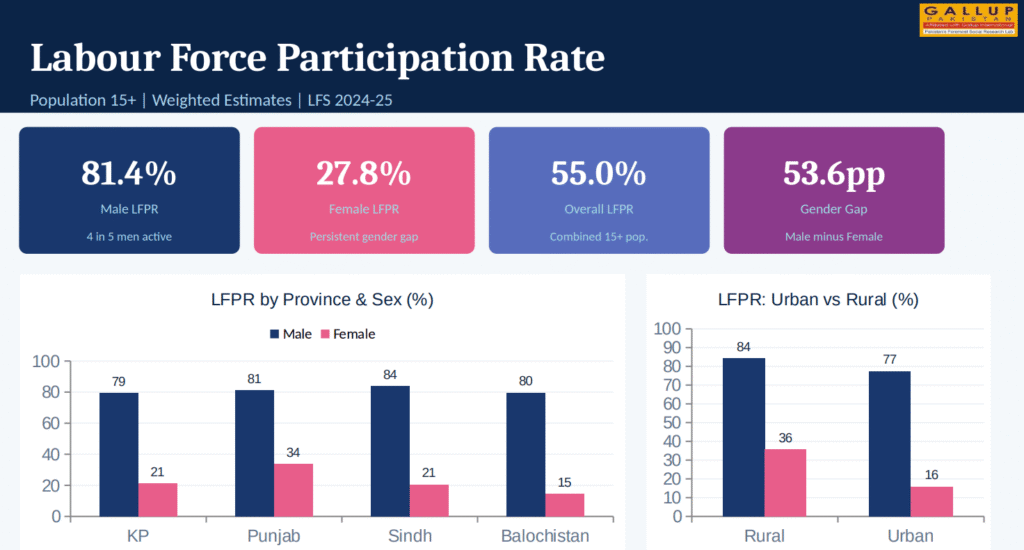 About 81.4% of men aged 15 and above are in the labour force, compared with only 27.8% of women.